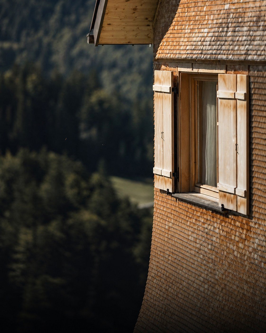 Modernes Holzhaus im Wald als Konzeptbild